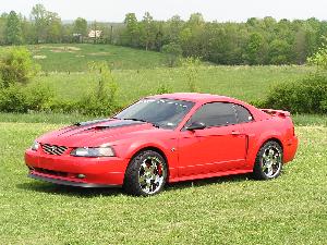 Mustang 065.jpg